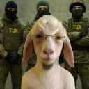 narin4ik