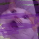 koolkidhere