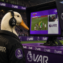 avatar VAR Ducky
