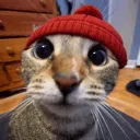 dotjay