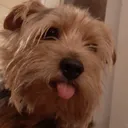 eloshapes