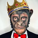 krypto.monkey