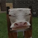 unsharted.poo