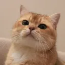 dewshi.buu