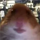 cycuuuu