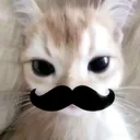 baagb