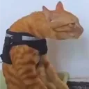 kuiikii