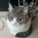 avatar 丹廾山仨廾丅