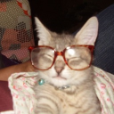 avatar Lexi