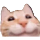 omegaclout
