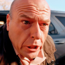 avatar HankSchrader'sBaldHead