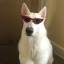 .calvii#3967's avatar