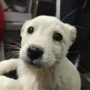 maaarko