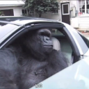 ttvsosa4085#6642's avatar