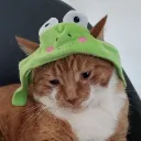omyn_
