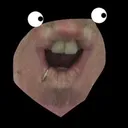 .voib