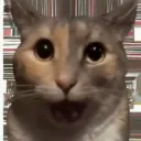 mrgato2000