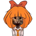 mrgato2000