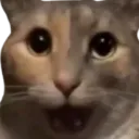 mrgato2000