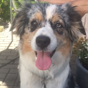 avatar henryhakenschlag