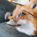 .sundoge