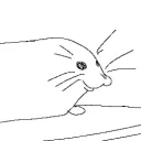 zigzarch