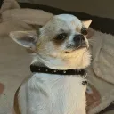 pechaaalka