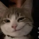 GinkgoEZ's Avatar