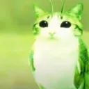 yoshinyaaaaa