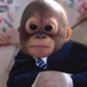 avatar Monke