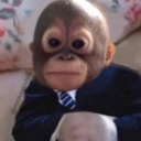 avatar Monke