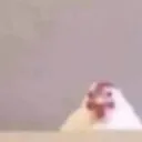viki_pika