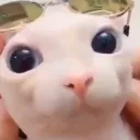 merpycredper