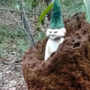 avatar BunniLox