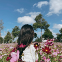 avatar ilovenumbergames