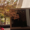 avatar ilovenumbergames