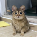 avatar ilovenumbergames