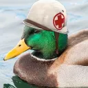 duckmedic5408