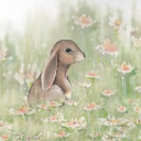 Spring Rabbit