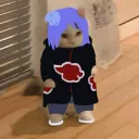 warpdance