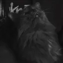 yoshigahn