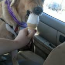 mattusroma95#9845's avatar