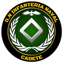 Maximus Astartes