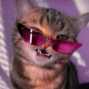 avatar celibate kween