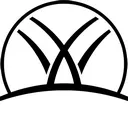 noplsy