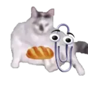 jonesyb