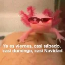johanchr avatar