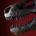 suethetrextheythem6859