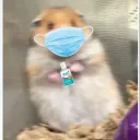 flipznaw