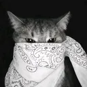 .tyijoo